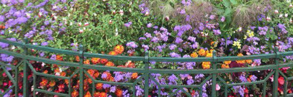 sultan1mr Profile Banner