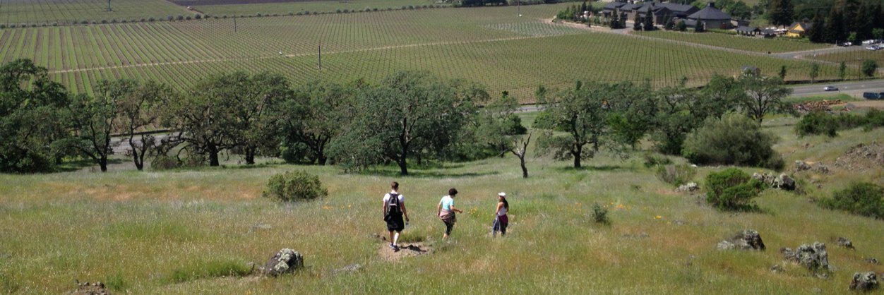 Patrick Sweeney banner