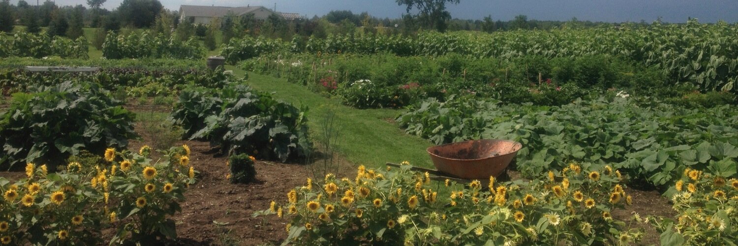 RoyLAcresFarm's profile banner image