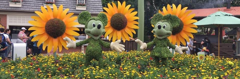 InThe_Savannah's profile banner image