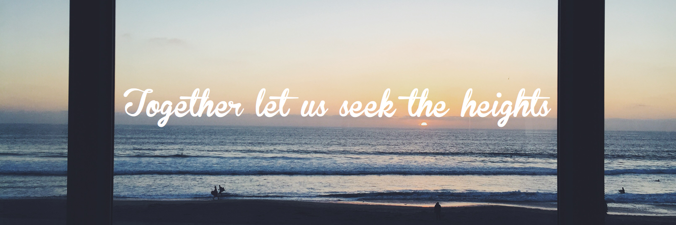 LMU_AXO's profile banner image