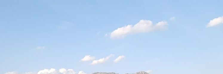 Septimocisne's profile banner image