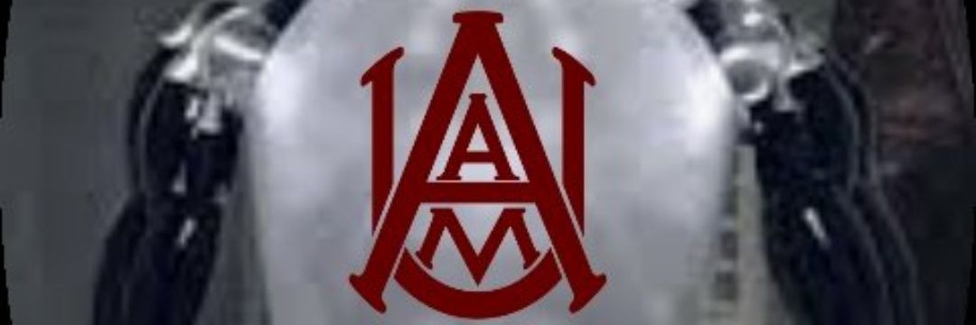 UIFreeman's profile banner image