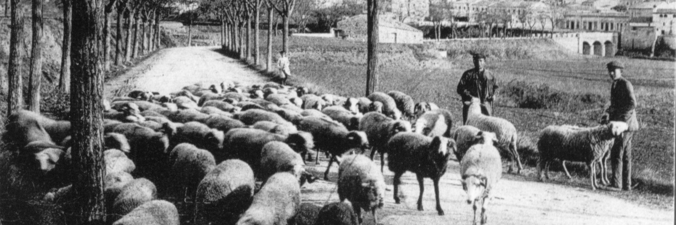 sentmenat.com banner