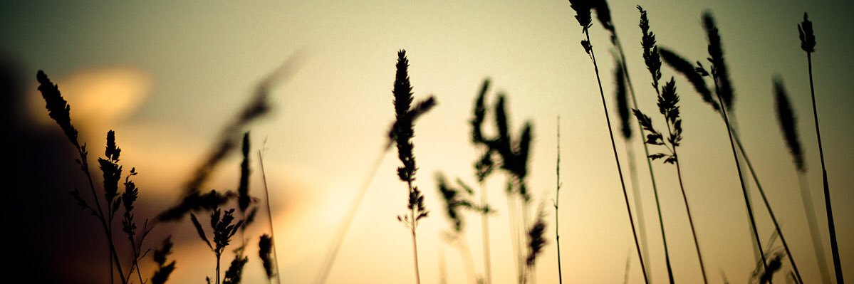 robertofraga_'s profile banner image