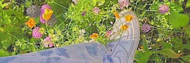 Miiry_S's profile banner image