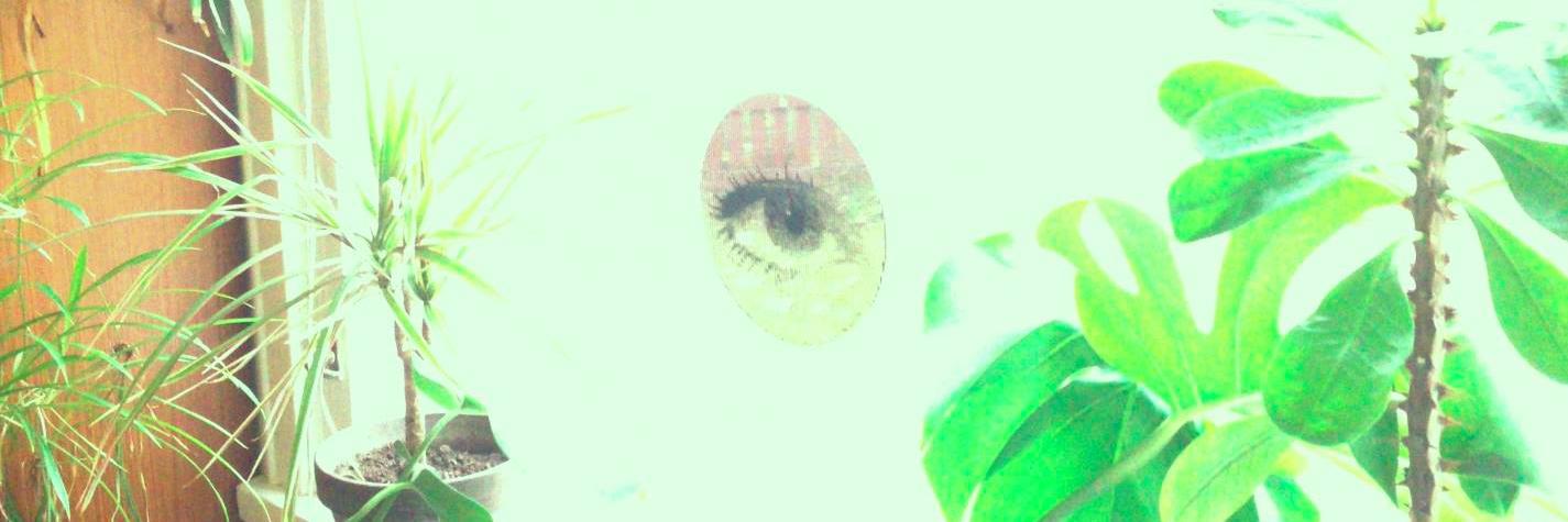 Marjaana Jauhola banner