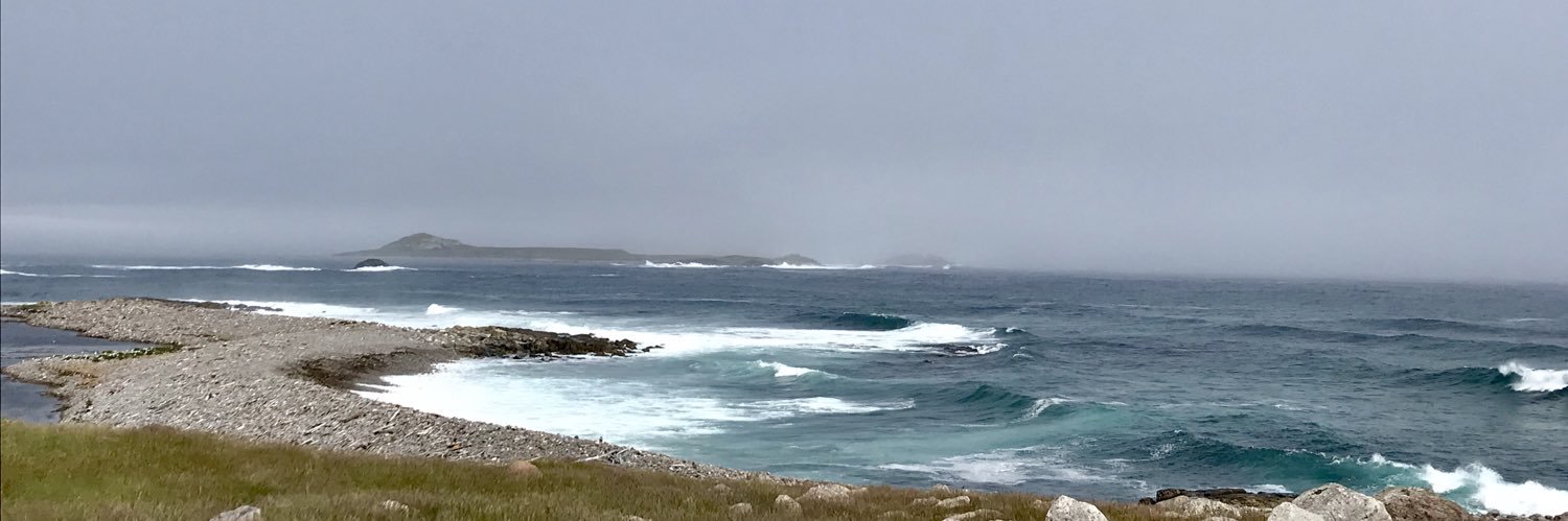 Brigitte Rail banner