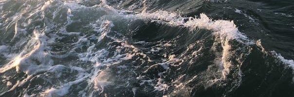 A_CryptoCrazy's profile banner image