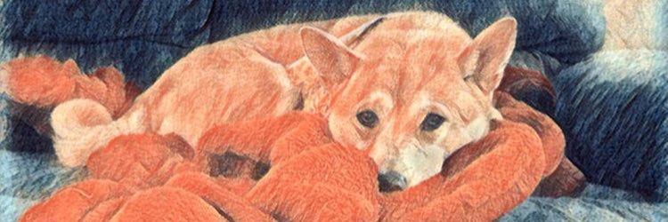haley__mcclure's profile banner image