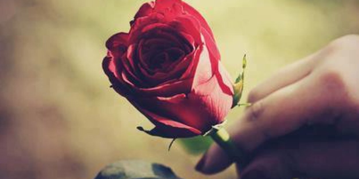 saraa8388's profile banner image