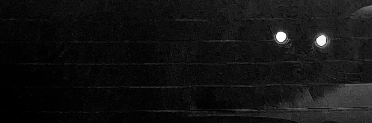 Le Goben banner