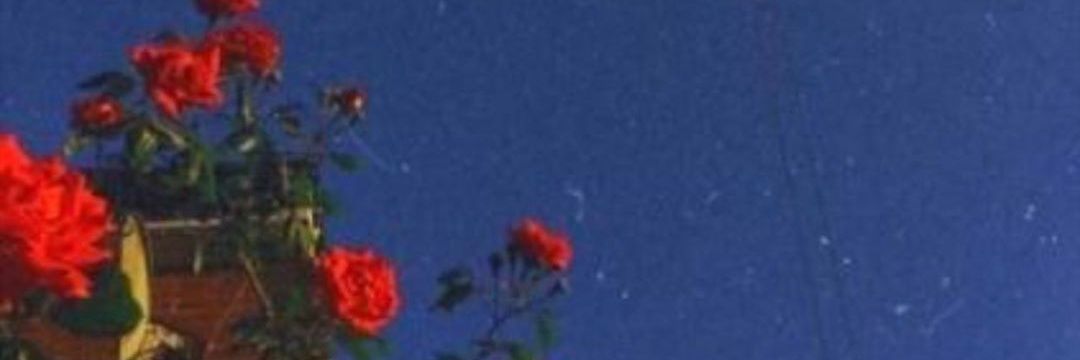 Vanesis22's profile banner image