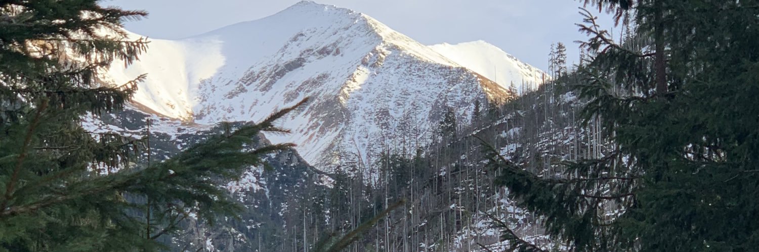 KovalenkoSocial's profile banner image