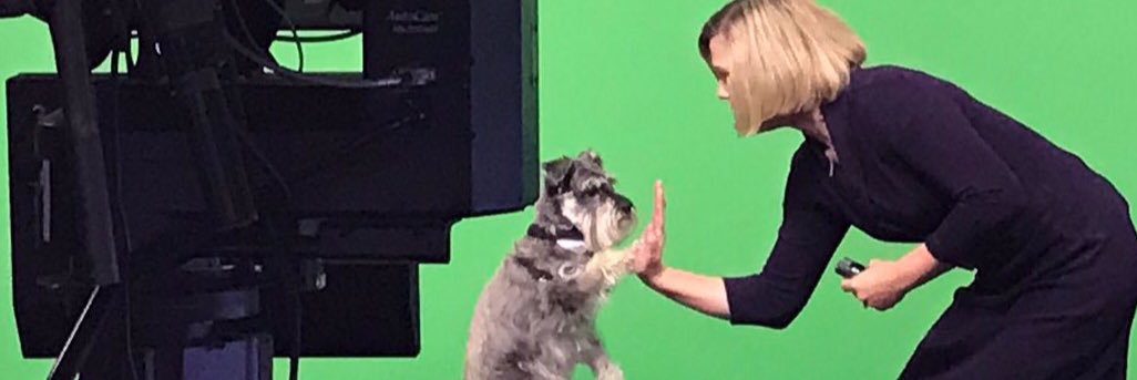 WeatherDog_Will's profile banner image