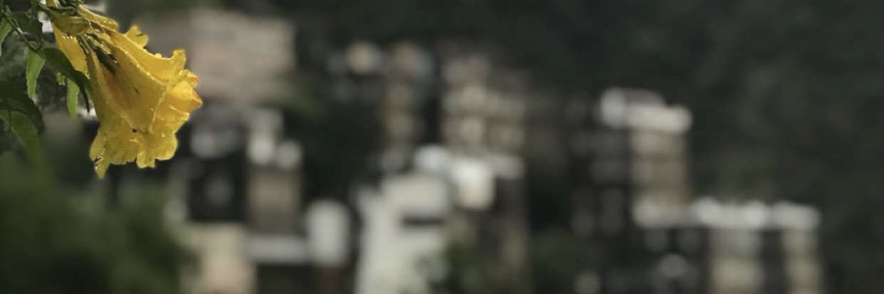 alsultanh's profile banner image