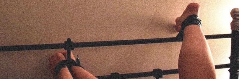 hectorcanicas's profile banner image