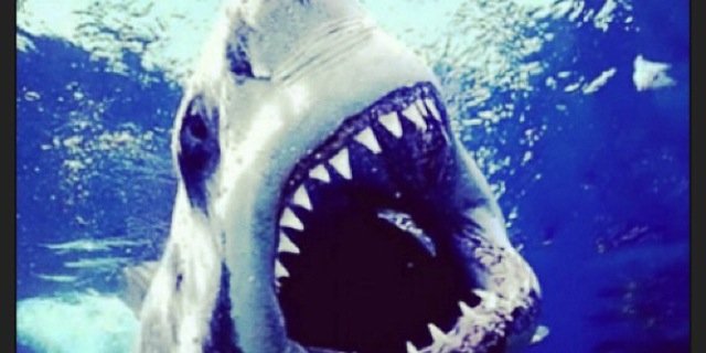 AddisonWodder's profile banner image