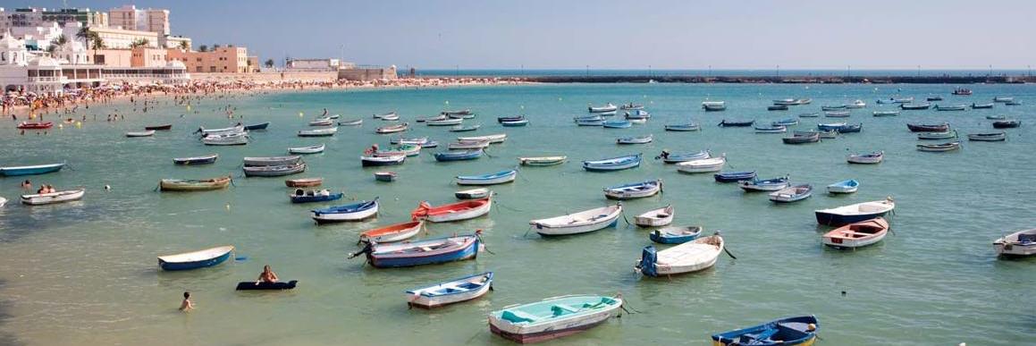 WordPress Cadiz banner