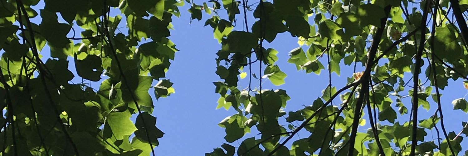 Austin_Burntham's profile banner image
