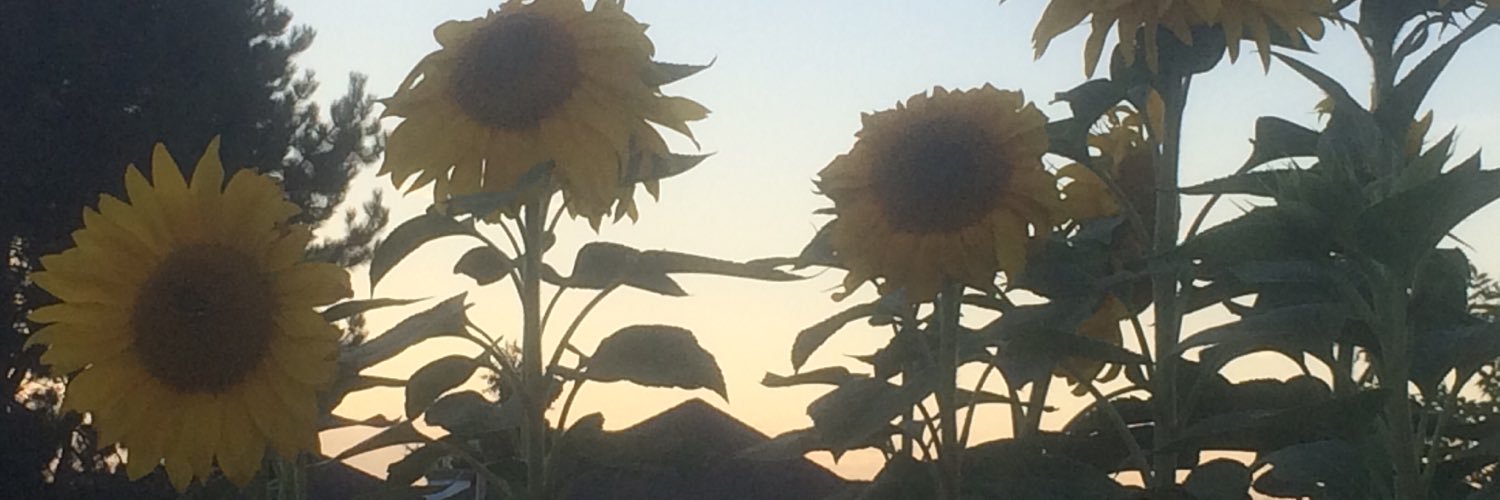 evc_09's profile banner image