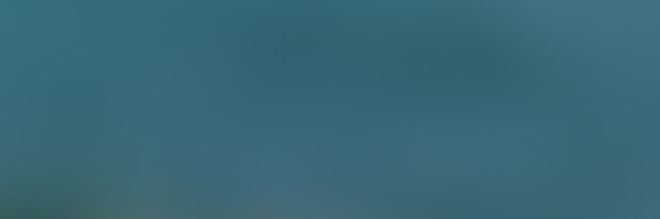 DET $hawty banner