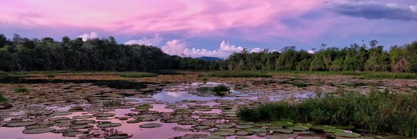 worldlyadventur Profile Banner