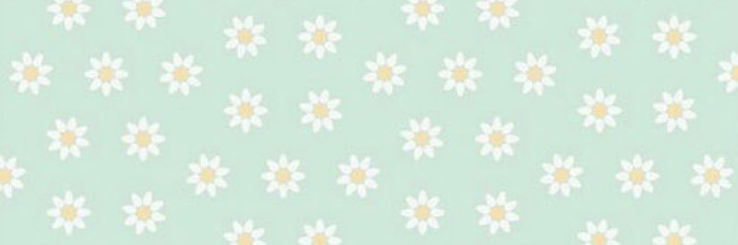 melissa__boyle's profile banner image