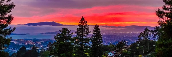 shellenberger Profile Banner