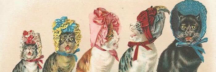 emllewellyn's profile banner image