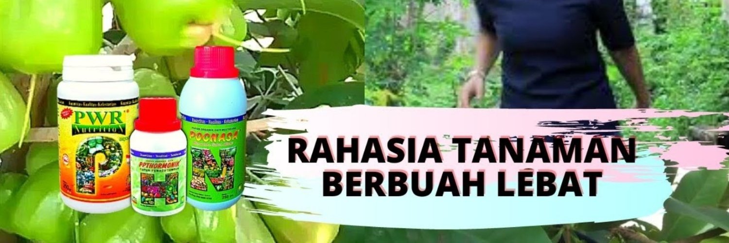 BeasiswaCerdas's profile banner image