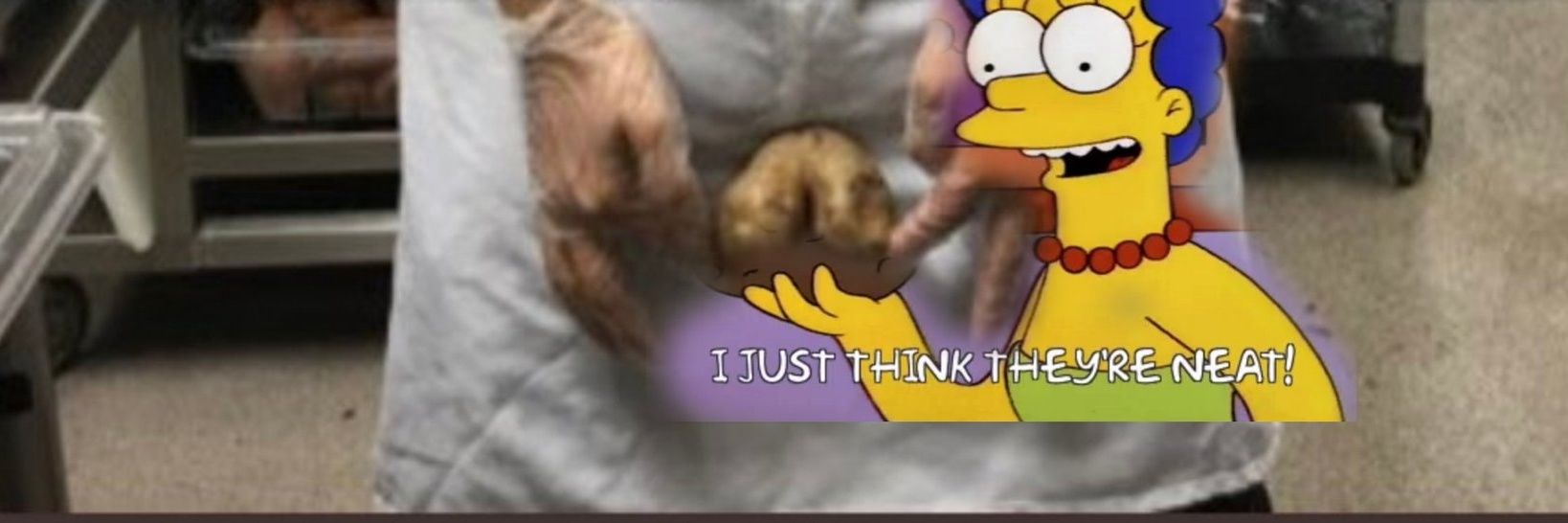 Dysastro's profile banner image