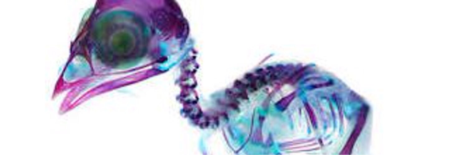 えみり banner