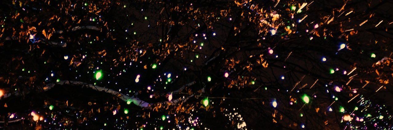 ninnadrogama's profile banner image