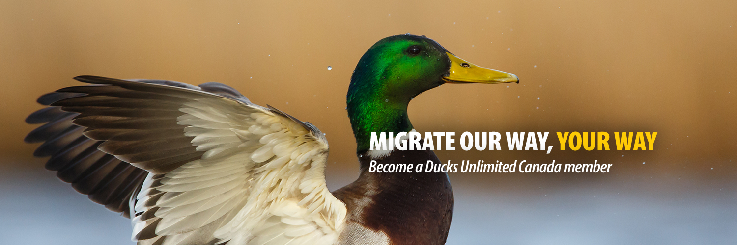 Ducks Unlimited CAN banner