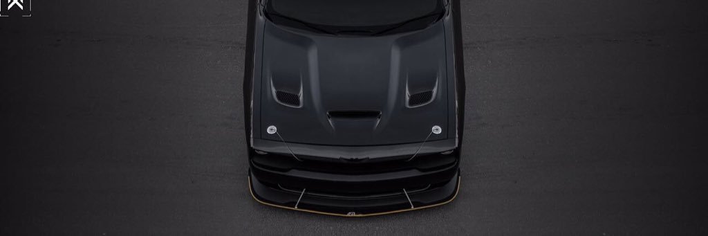 alborshaa's profile banner image