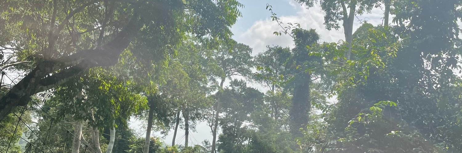Esanaee's profile banner image