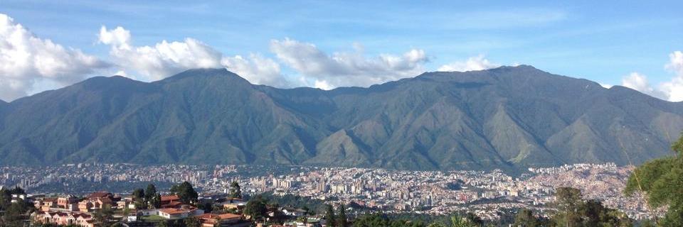 Linita (she/her) banner