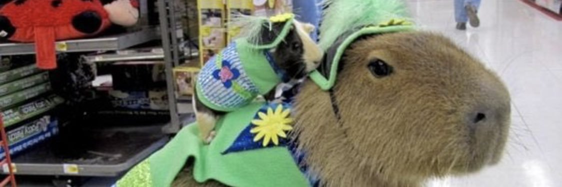KatieOrbeta's profile banner image