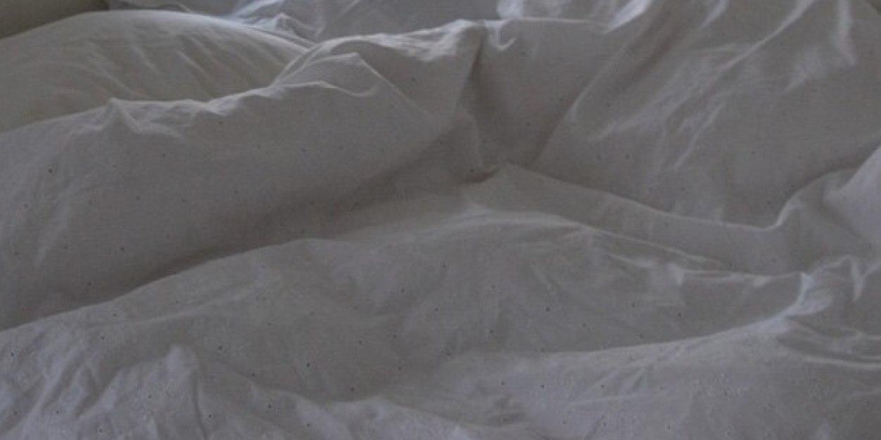 bri_sivan's profile banner image