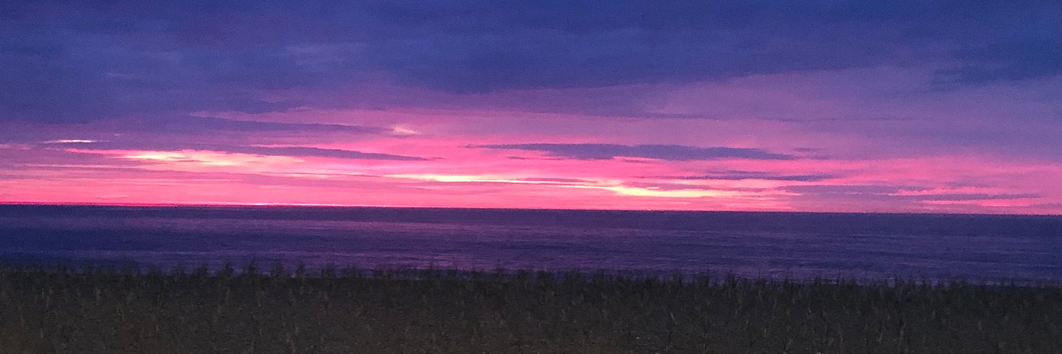 Fidel Sasstro banner