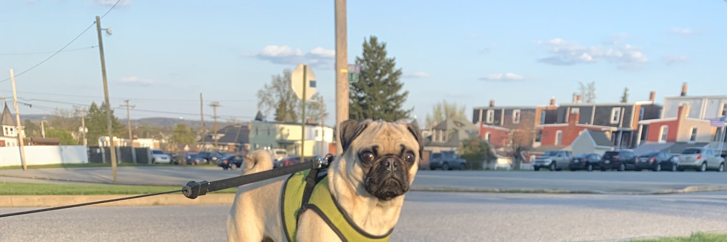 aamandalewis's profile banner image