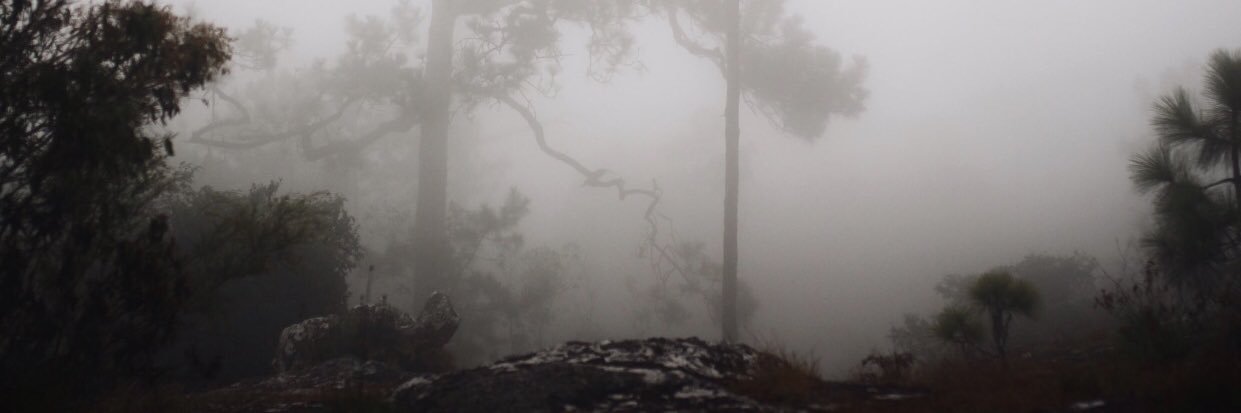 KKNIL03's profile banner image