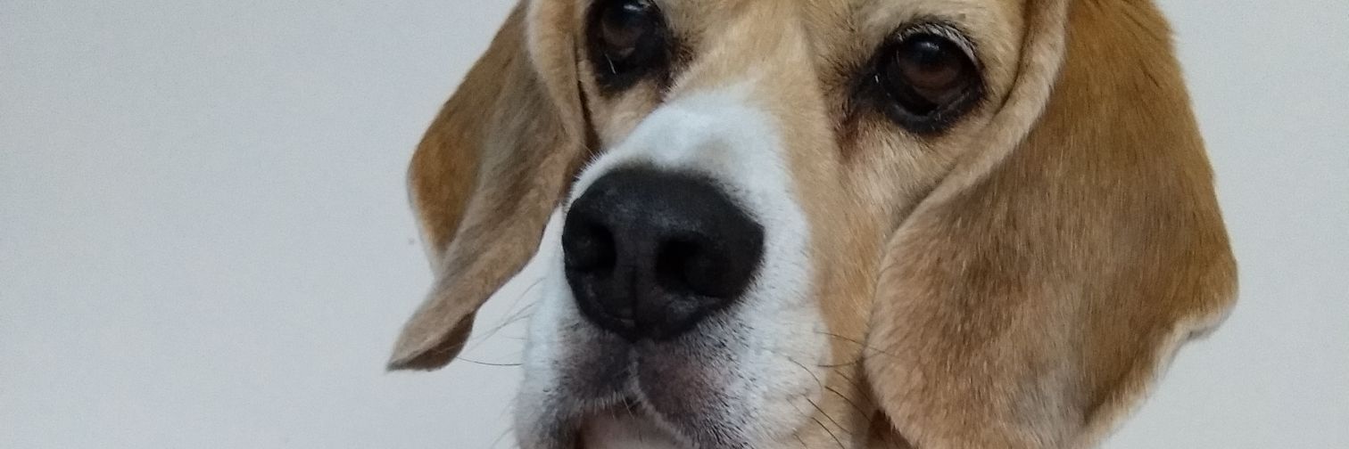 edwinb52's profile banner image