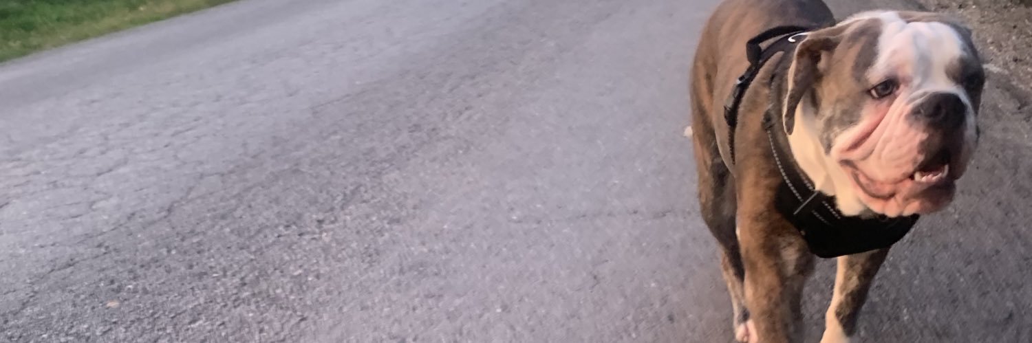 invader_xen's profile banner image