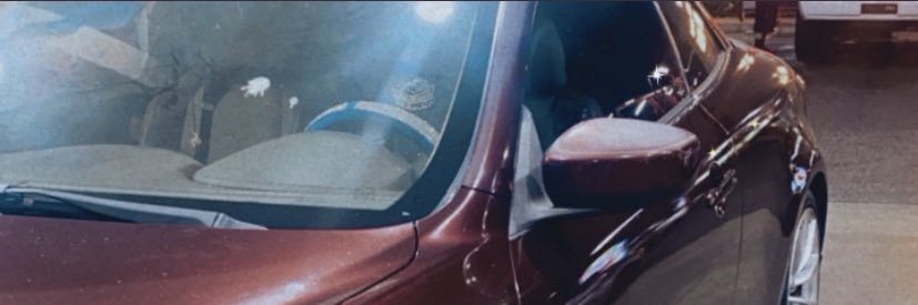 princessdankie's profile banner image