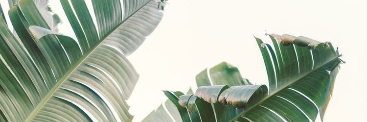 LIT LYS banner