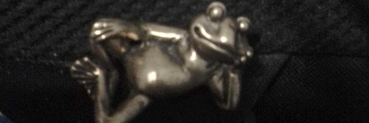 fjsully3's profile banner image