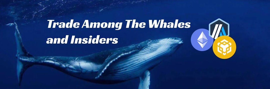 💻Eng_Reedwan | banner