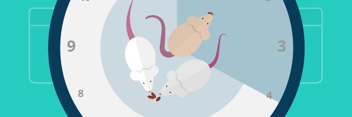 MazeEngineers banner